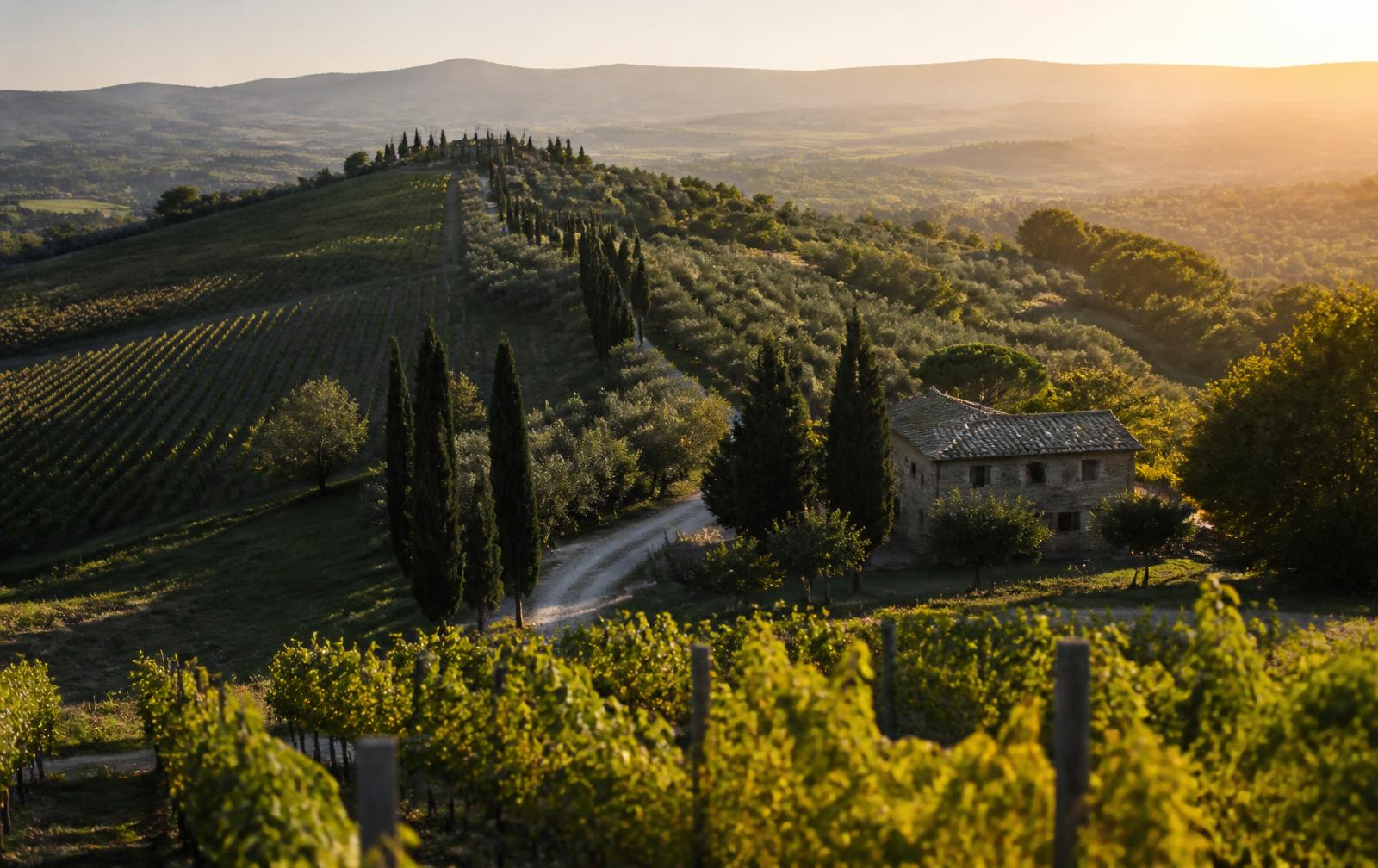 Paysage viticole italien avec collines, cyprès et ferme en pierre